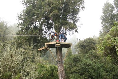 Rotorua Canopy tours